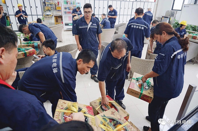 辛格林端午福利|“礼”相随，“粽”相伴