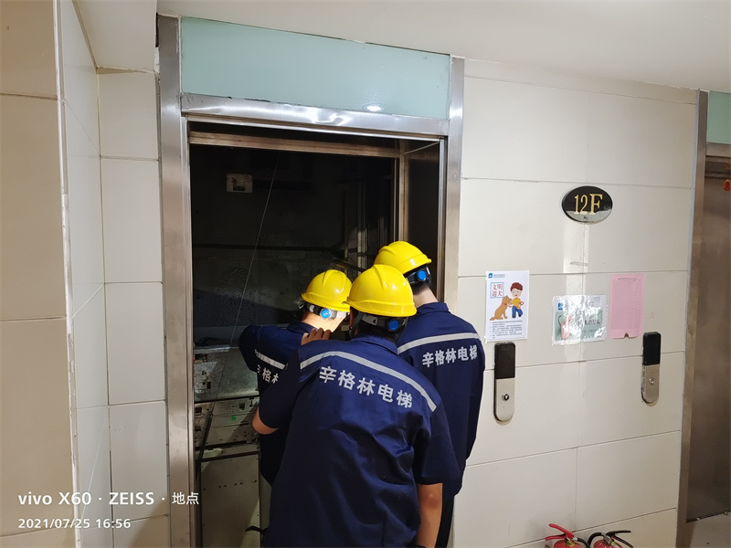 广东家用电梯什么品牌最好，选辛格林自然不出错