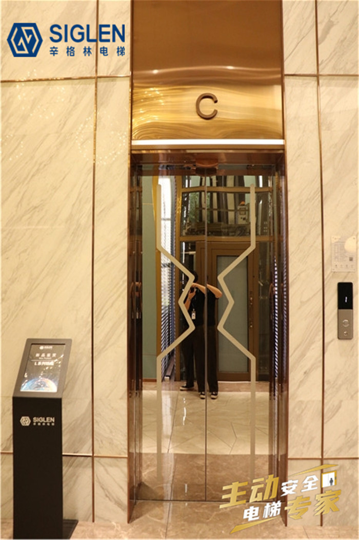 广东家庭式电梯,广东家庭电梯品牌